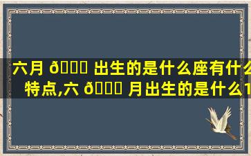 六月 🍀 出生的是什么座有什么特点,六 🐝 月出生的是什么12星座